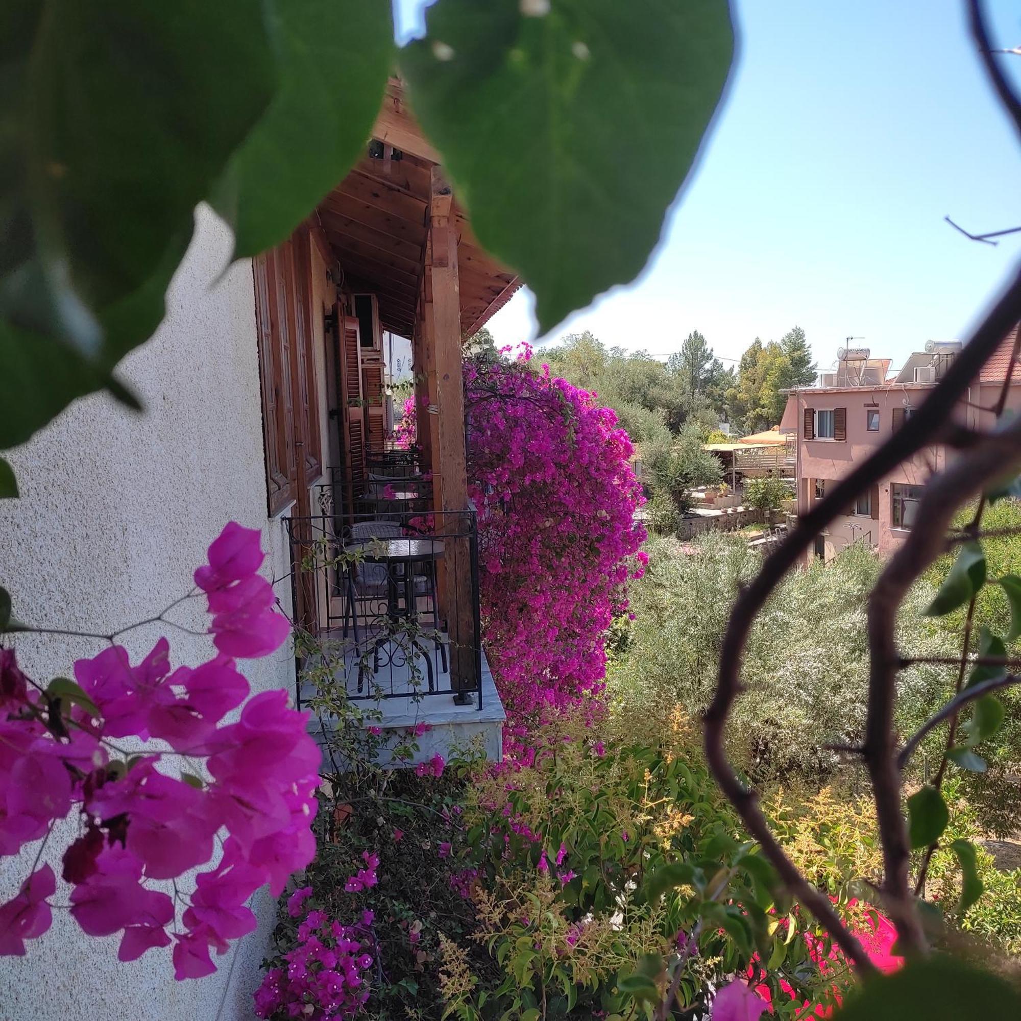 קרדמילי Iliolithos Rooms מראה חיצוני תמונה