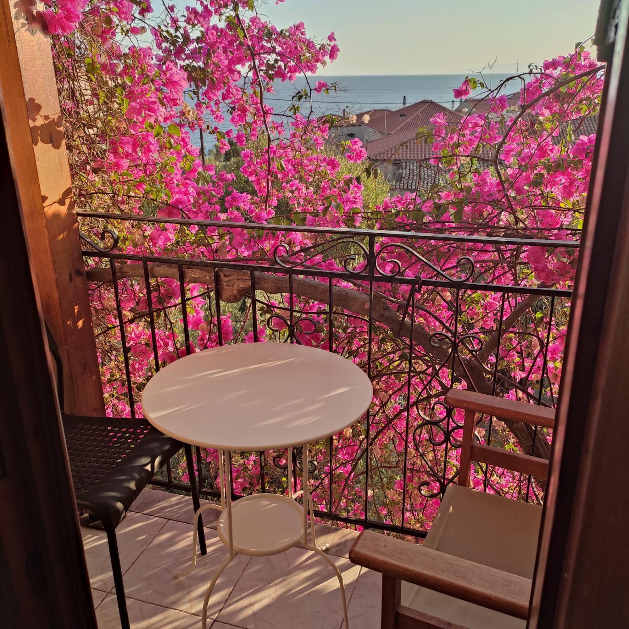 קרדמילי Iliolithos Rooms מראה חיצוני תמונה